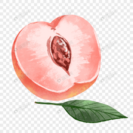 WWW,se363·COM网站APPAPP应用